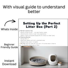 Cat Litter Box Training Guide | Stop Messy Habits | printable PDF | instant Download