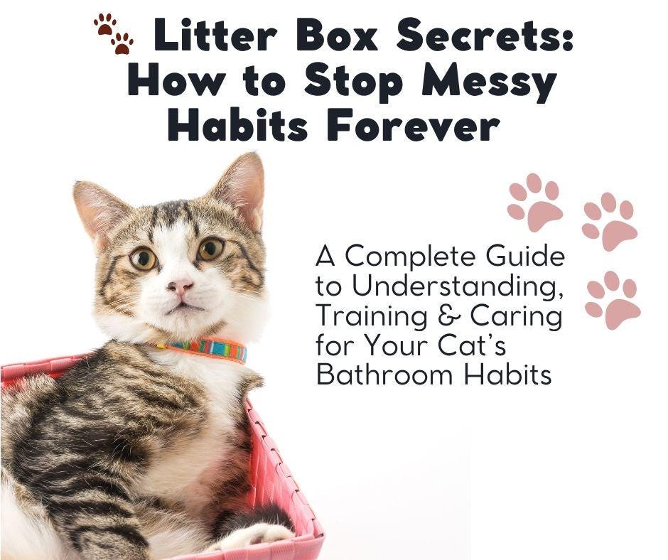 Cat Litter Box Training Guide | Stop Messy Habits | printable PDF | instant Download